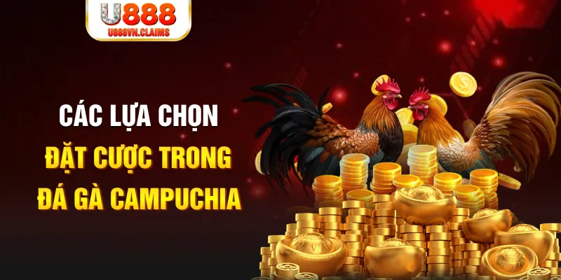 Các loại hình cá cược đá gà Campuchia