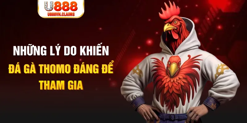 Những lý do khiến đá gà Thomo đáng để tham gia